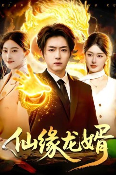 仙缘龙婿