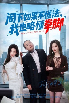 阁下如果不懂法，我也略懂拳脚