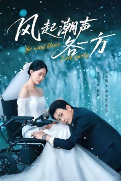 风起潮声各一方