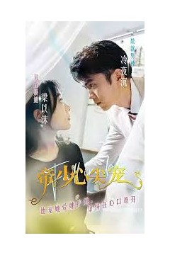 帝少心尖宠