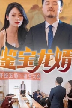 鉴宝龙婿