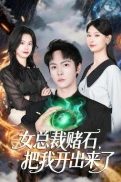 女总裁赌石，把我开出来了