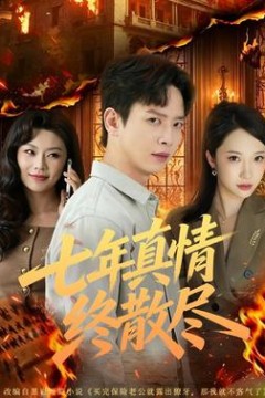 七年真情终散尽