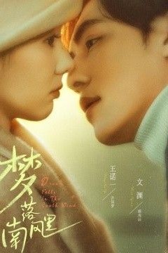 梦落南风里