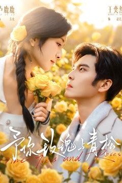 予你玫瑰与青松