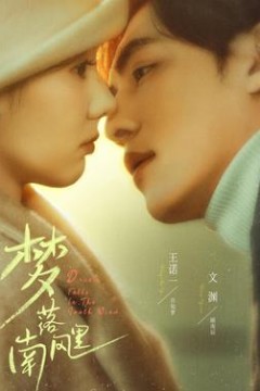 梦落南风里