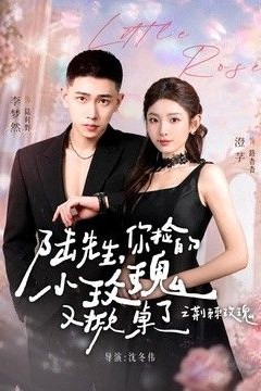 陆先生，你捡的小玫瑰又掀桌了之荆棘玫瑰(太子爷的小玫瑰又掀桌了)