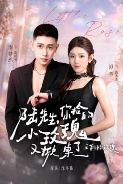 陆先生，你捡的小玫瑰又掀桌了之荆棘玫瑰