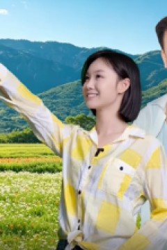 逆风草