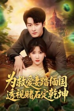 为救爱妻踏缅国透视赌石定乾坤