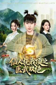 仙人抚我顶之医武双绝