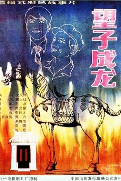 望子成龙