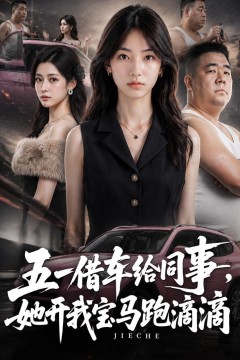 五一借车给同事，她开我宝马跑滴滴