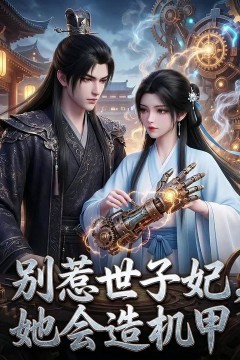别惹世子妃，她会造机甲