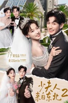 少夫人来自东北2