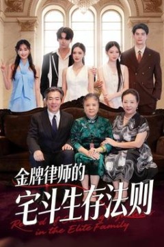 金牌律师的宅斗生存法则