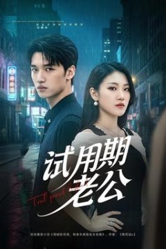 试用期老公