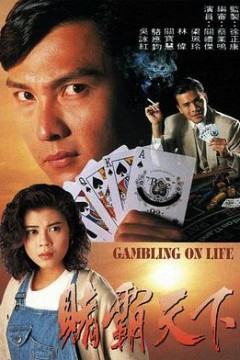 赌霸天下国语版