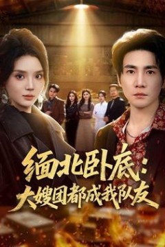 缅北卧底：大嫂团都成我队友
