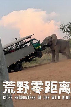 荒野零距离