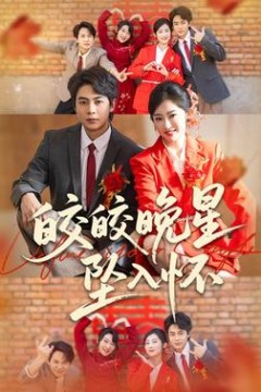 皎皎晚星坠入怀
