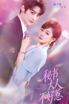 秘书大人不好惹