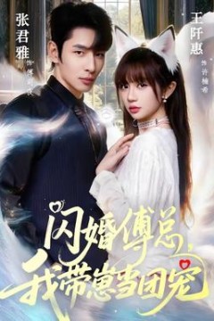 闪婚傅总，我带崽当团宠