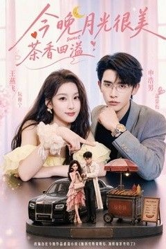 今晚月光很美，茶香四溢