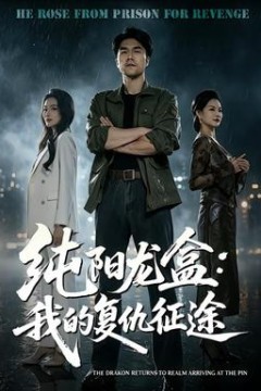 纯阳龙盒：我的复仇征途