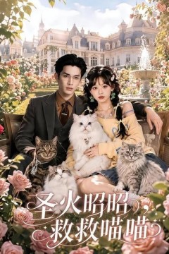 圣火昭昭，救救喵喵