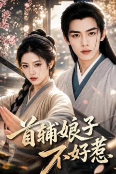 首辅娘子不好惹
