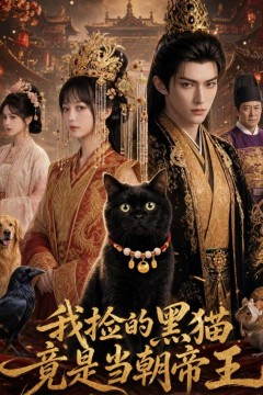 我捡的黑猫竟是当朝帝王