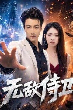 无敌侍卫