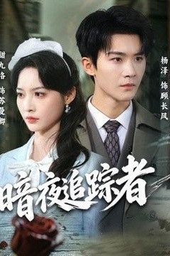 暗夜追踪者