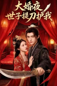 大婚夜，世子提刀护我