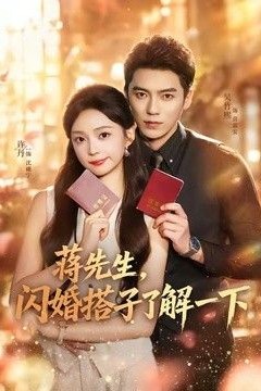 蒋先生，闪婚搭子了解一下