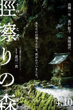 胫擦之森脛擦
