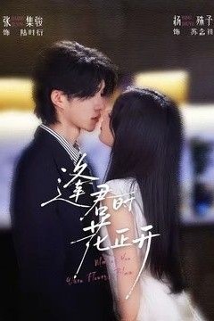 逢君时花正开