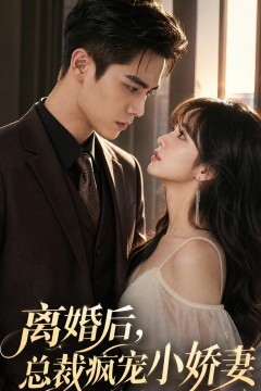 离婚后，总裁疯宠小娇妻
