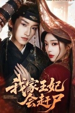 我家王妃会赶尸