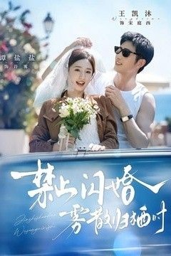 禁止闪婚，雾散归栖时