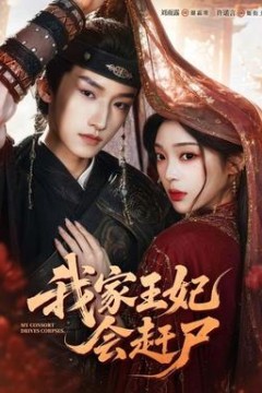 我家王妃会赶尸